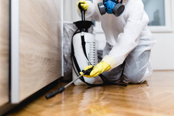 Best Ant Control Services  in Burkesville, KY