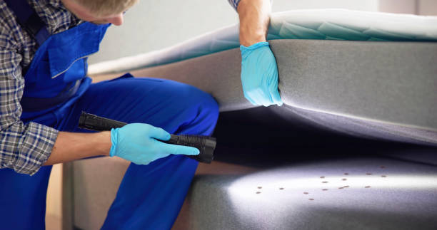 Best Pest Control Cost  in Burkesville, KY